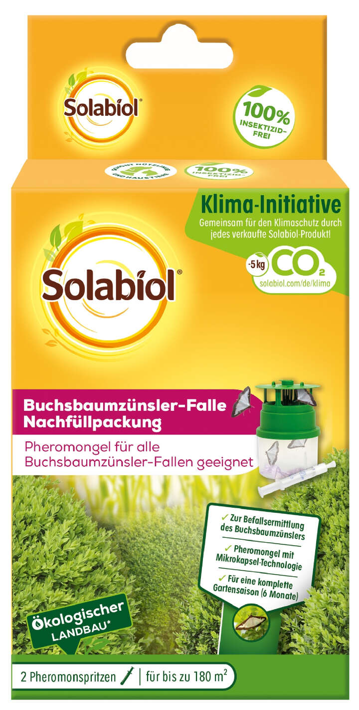 Solabiol Buchsbaumzünsler-Falle Nachfüllpackung